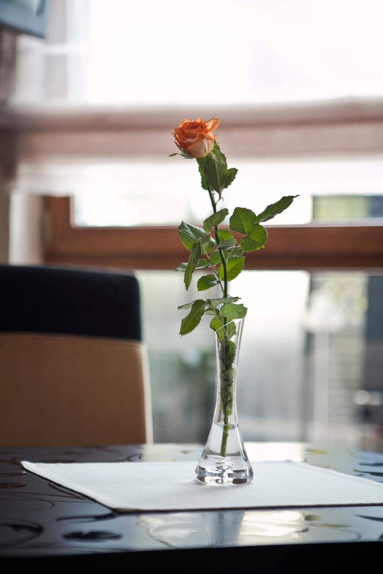 M Hotel Sosnowiec Dış mekan fotoğraf